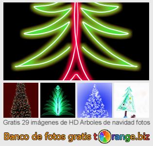 Banco de imagen tOrange ofrece fotos gratis de la sección:  árboles-de-navidad-fotos