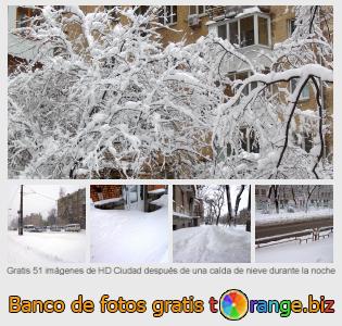 Banco de imagen tOrange ofrece fotos gratis de la sección:  ciudad-después-de-una-caída-de-nieve-durante-la-noche