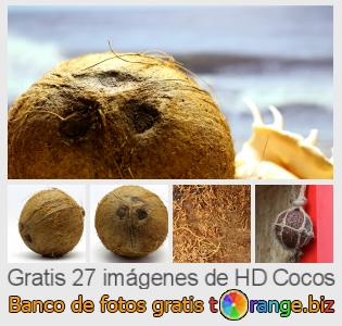 Banco de imagen tOrange ofrece fotos gratis de la sección:  cocos