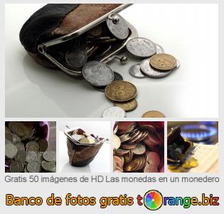 Banco de imagen tOrange ofrece fotos gratis de la sección:  las-monedas-en-un-monedero
