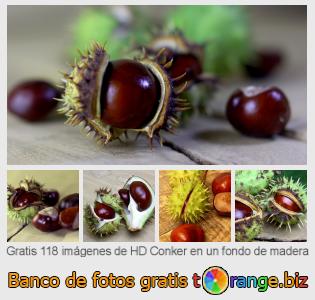 Banco de imagen tOrange ofrece fotos gratis de la sección:  conker-en-un-fondo-de-madera