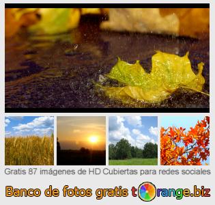 Banco de imagen tOrange ofrece fotos gratis de la sección:  cubiertas-para-redes-sociales