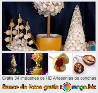 Banco de imagen tOrange ofrece fotos gratis de la sección:  artesanías-de-conchas