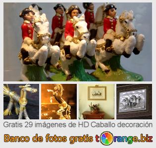 Banco de imagen tOrange ofrece fotos gratis de la sección:  caballo-decoración