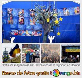 Banco de imagen tOrange ofrece fotos gratis de la sección:  revolución-de-la-dignidad-en-ucrania
