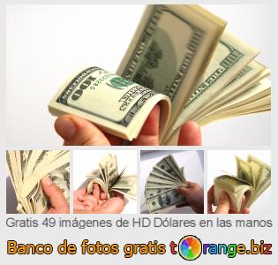 Banco de imagen tOrange ofrece fotos gratis de la sección:  dólares-en-las-manos