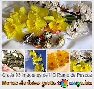 Banco de imagen tOrange ofrece fotos gratis de la sección:  ramo-de-pascua