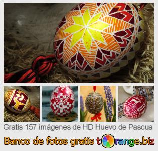 Banco de imagen tOrange ofrece fotos gratis de la sección:  huevo-de-pascua