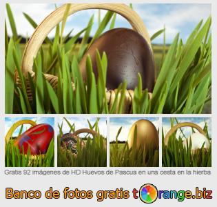 Banco de imagen tOrange ofrece fotos gratis de la sección:  huevos-de-pascua-en-una-cesta-en-la-hierba
