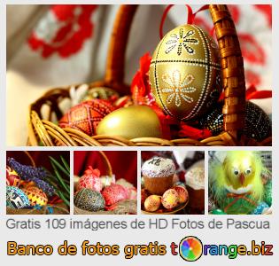 Banco de imagen tOrange ofrece fotos gratis de la sección:  fotos-de-pascua