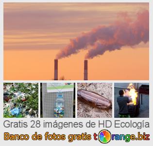 Banco de imagen tOrange ofrece fotos gratis de la sección:  ecología