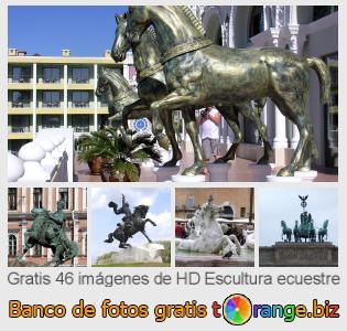 Banco de imagen tOrange ofrece fotos gratis de la sección:  escultura-ecuestre