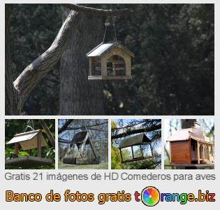 Banco de imagen tOrange ofrece fotos gratis de la sección:  comederos-para-aves