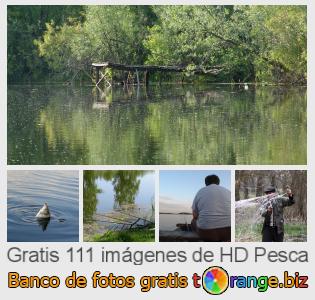 Banco de imagen tOrange ofrece fotos gratis de la sección:  pesca