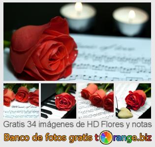 Banco de imagen tOrange ofrece fotos gratis de la sección:  flores-y-notas