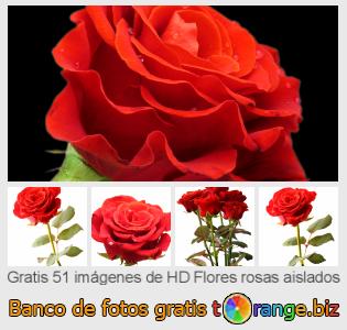 Banco de imagen tOrange ofrece fotos gratis de la sección:  flores-rosas-aislados