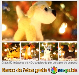 Banco de imagen tOrange ofrece fotos gratis de la sección:  juguetes-de-piel-de-la-piel-de-un-perro