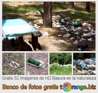 Banco de imagen tOrange ofrece fotos gratis de la sección:  basura-en-la-naturaleza
