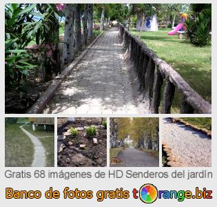 Banco de imagen tOrange ofrece fotos gratis de la sección:  senderos-del-jardín