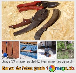 Banco de imagen tOrange ofrece fotos gratis de la sección:  herramientas-de-jardín