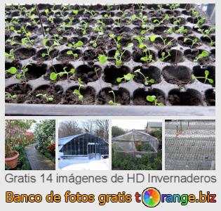 Banco de imagen tOrange ofrece fotos gratis de la sección:  invernaderos