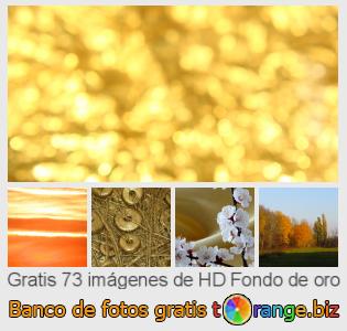Banco de imagen tOrange ofrece fotos gratis de la sección:  fondo-de-oro