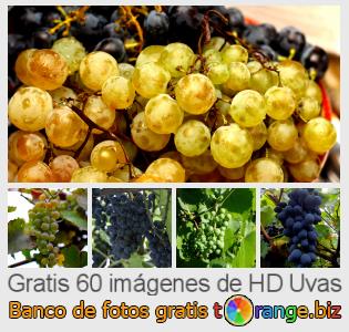 Banco de imagen tOrange ofrece fotos gratis de la sección:  uvas