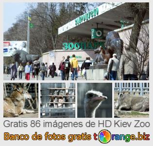 Banco de imagen tOrange ofrece fotos gratis de la sección:  kiev-zoo