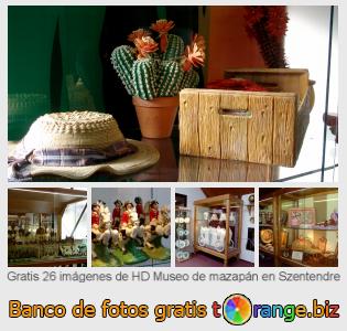 Banco de imagen tOrange ofrece fotos gratis de la sección:  museo-de-mazapán-en-szentendre