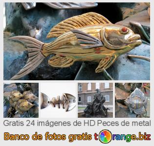 Banco de imagen tOrange ofrece fotos gratis de la sección:  peces-de-metal