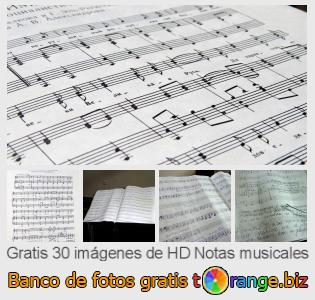 Banco de imagen tOrange ofrece fotos gratis de la sección:  notas-musicales