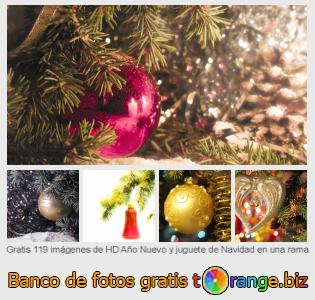 Banco de imagen tOrange ofrece fotos gratis de la sección:  año-nuevo-y-juguete-de-navidad-en-una-rama