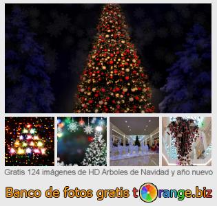 Banco de imagen tOrange ofrece fotos gratis de la sección:  árboles-de-navidad-y-año-nuevo