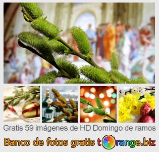 Banco de imagen tOrange ofrece fotos gratis de la sección:  domingo-de-ramos