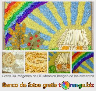 Banco de imagen tOrange ofrece fotos gratis de la sección:  mosaico-imagen-de-los-alimentos