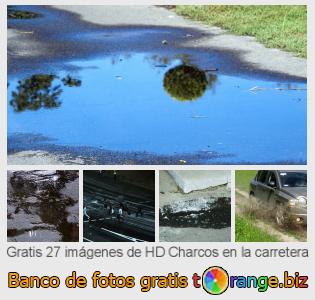 Banco de imagen tOrange ofrece fotos gratis de la sección:  charcos-en-la-carretera
