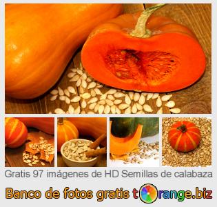 Banco de imagen tOrange ofrece fotos gratis de la sección:  semillas-de-calabaza