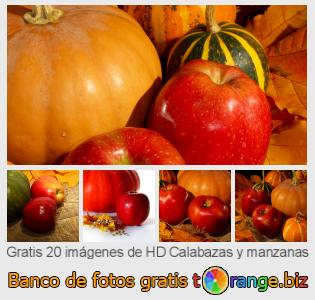 Banco de imagen tOrange ofrece fotos gratis de la sección:  calabazas-y-manzanas
