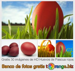 Banco de imagen tOrange ofrece fotos gratis de la sección:  huevos-de-pascua-rojos