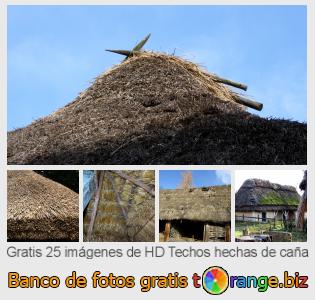 Banco de imagen tOrange ofrece fotos gratis de la sección:  techos-hechas-de-caña
