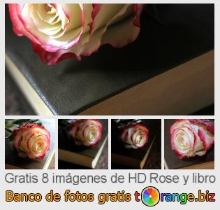 Banco de imagen tOrange ofrece fotos gratis de la sección:  rose-y-libro