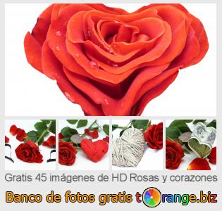 Banco de imagen tOrange ofrece fotos gratis de la sección:  rosas-y-corazones
