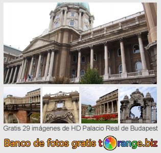 Banco de imagen tOrange ofrece fotos gratis de la sección:  palacio-real-de-budapest