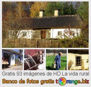 Banco de imagen tOrange ofrece fotos gratis de la sección:  la-vida-rural