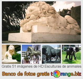 Banco de imagen tOrange ofrece fotos gratis de la sección:  esculturas-de-animales
