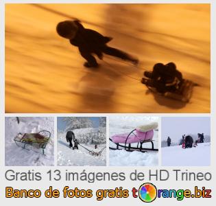 Banco de imagen tOrange ofrece fotos gratis de la sección:  trineo