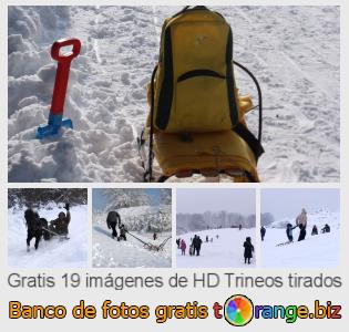 Banco de imagen tOrange ofrece fotos gratis de la sección:  trineos-tirados