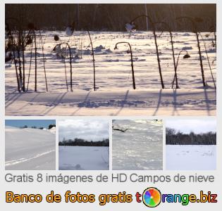 Banco de imagen tOrange ofrece fotos gratis de la sección:  campos-de-nieve