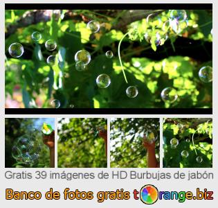 Banco de imagen tOrange ofrece fotos gratis de la sección:  burbujas-de-jabón