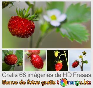 Banco de imagen tOrange ofrece fotos gratis de la sección:  fresas